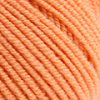152 Naranja salmon