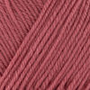 752 - Hibiscus
