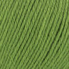 107 - Verde césped