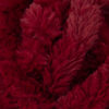 207 - Granate